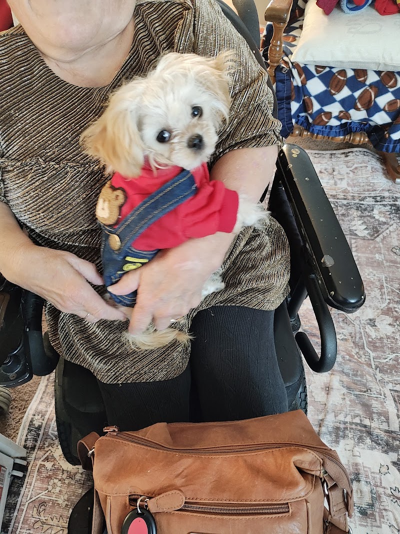 Puppy -Shop - Photo 5