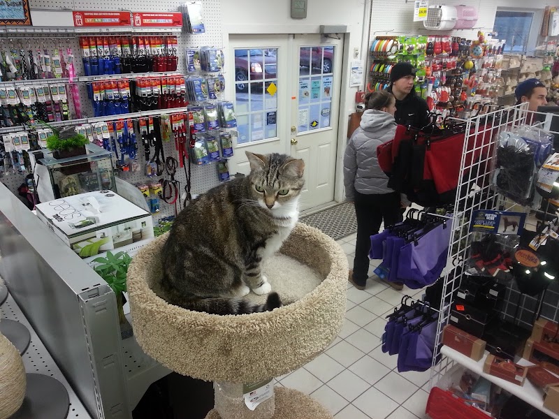 Laconia Pet Center - Photo 2