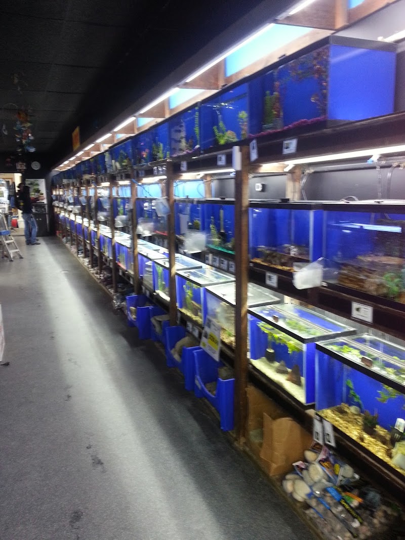 Laconia Pet Center - Photo 4