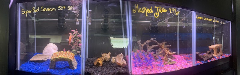 Plymouth Pet & Aquarium - Photo 1