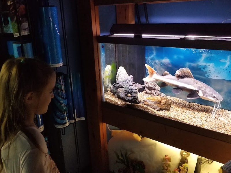 Plymouth Pet & Aquarium - Photo 2