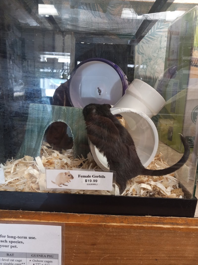 Plymouth Pet & Aquarium - Photo 3
