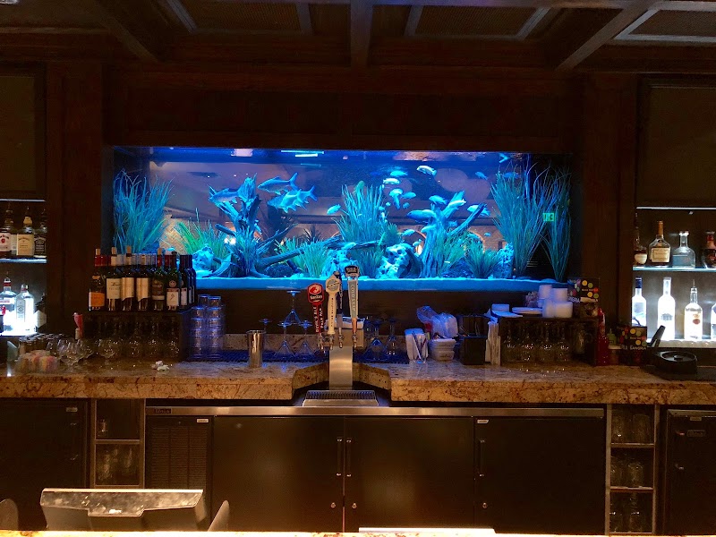 Limited Edition Corals Aquariums - Photo 2