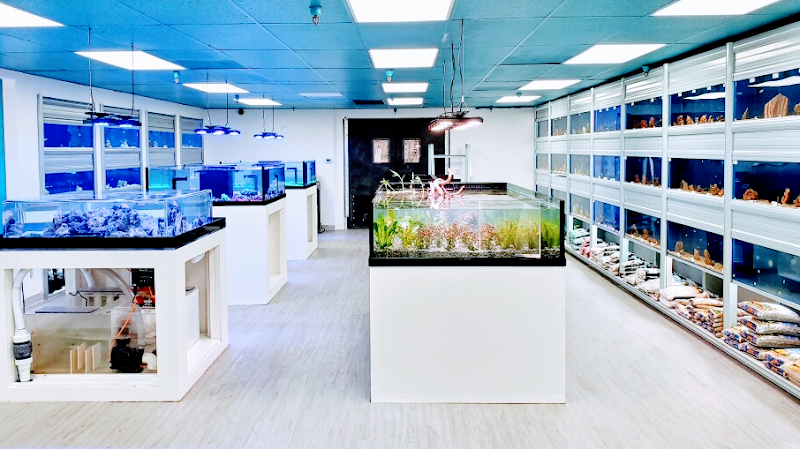 Limited Edition Corals Aquariums - Photo 3