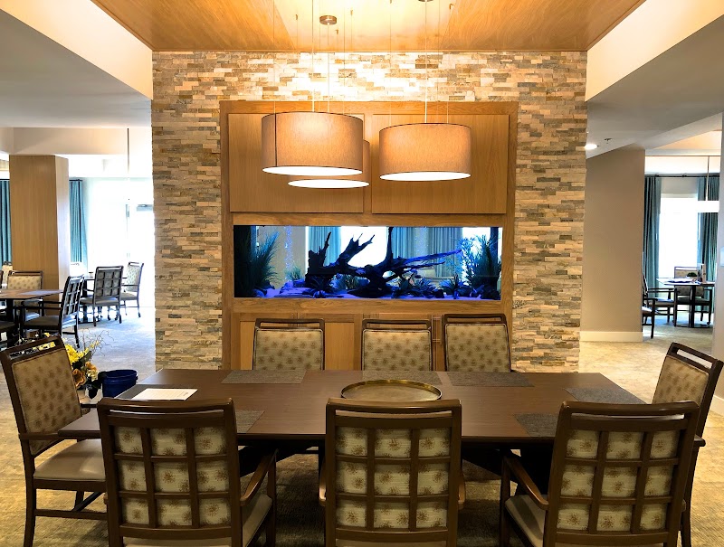 Limited Edition Corals Aquariums - Photo 4