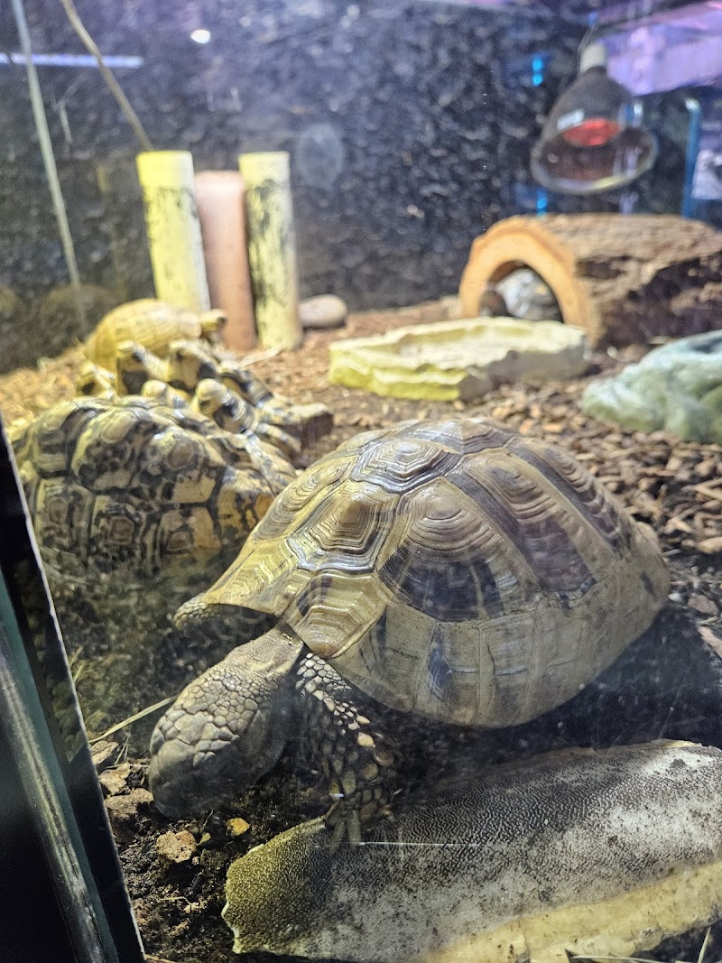 Lebanon Pet & Aquarium Center - Photo 4