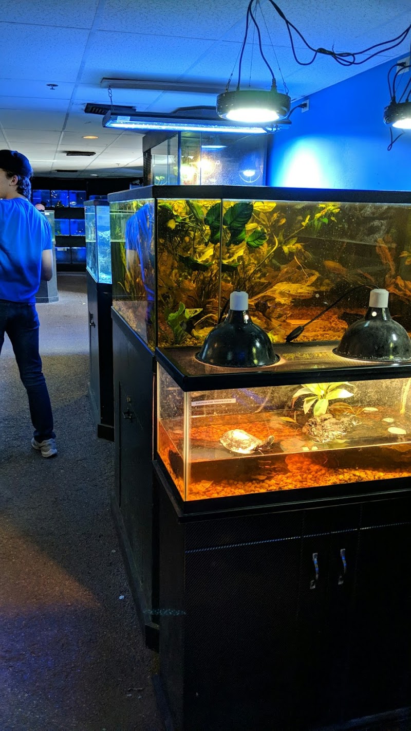 Lebanon Pet & Aquarium Center - Photo 5