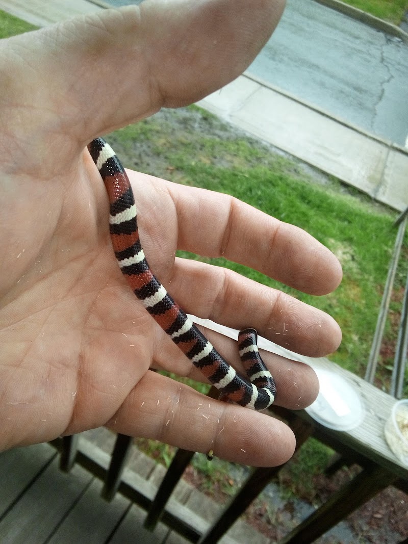 AquaRealm Aquarium & Pets - Photo 3