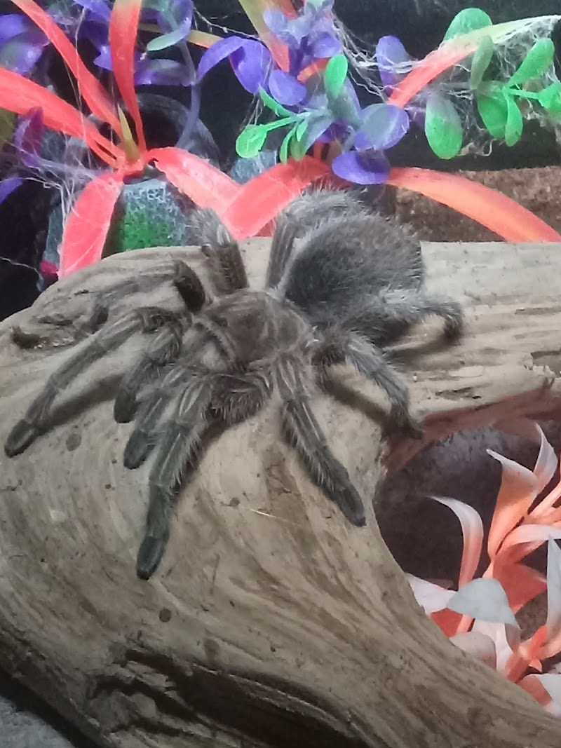 AquaRealm Aquarium & Pets - Photo 4