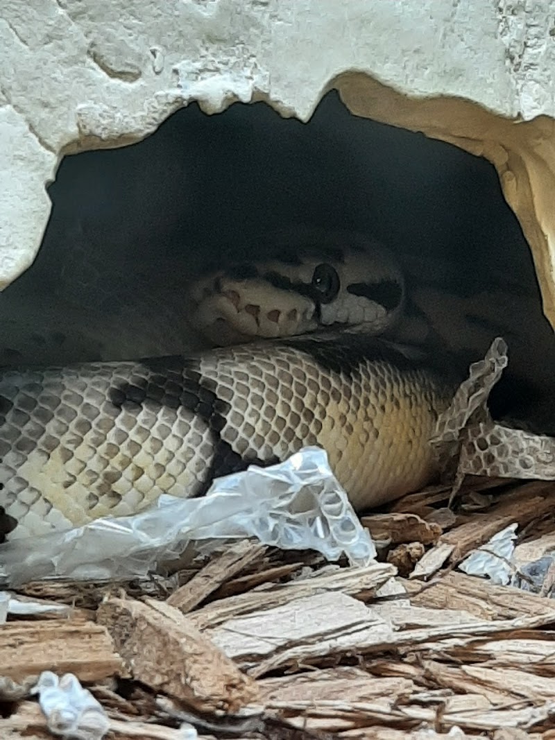 AquaRealm Aquarium & Pets - Photo 5