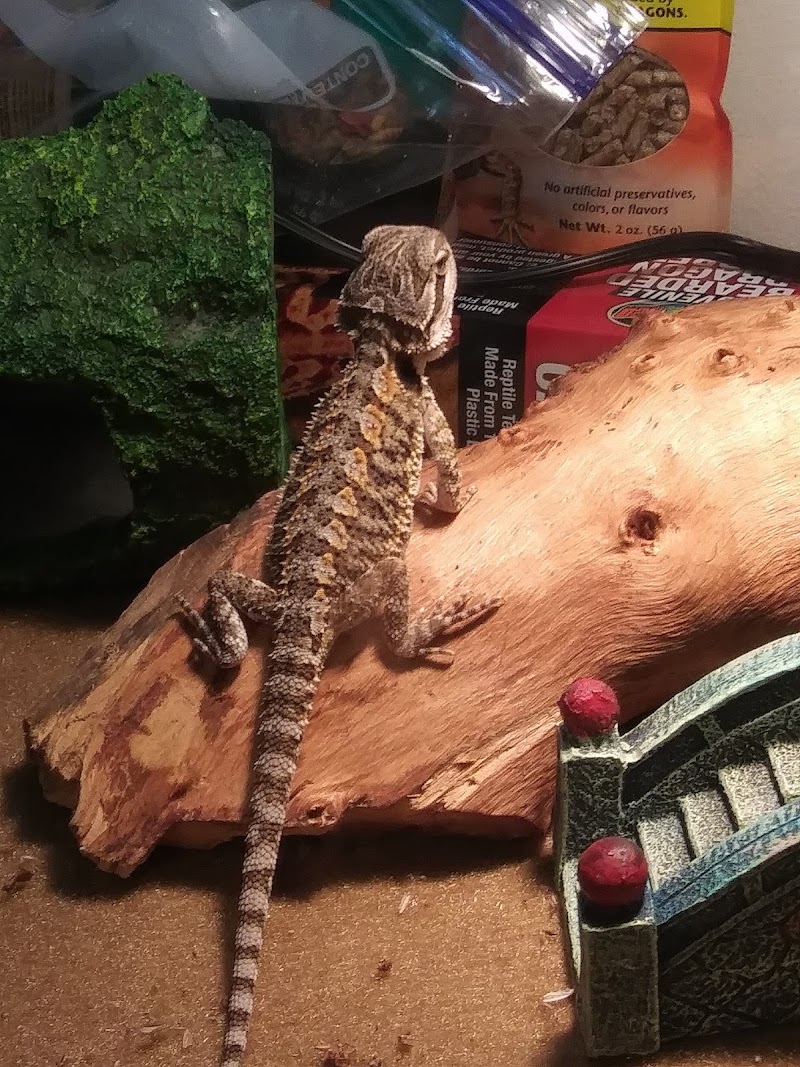 HomeGrown Scales - Photo 2