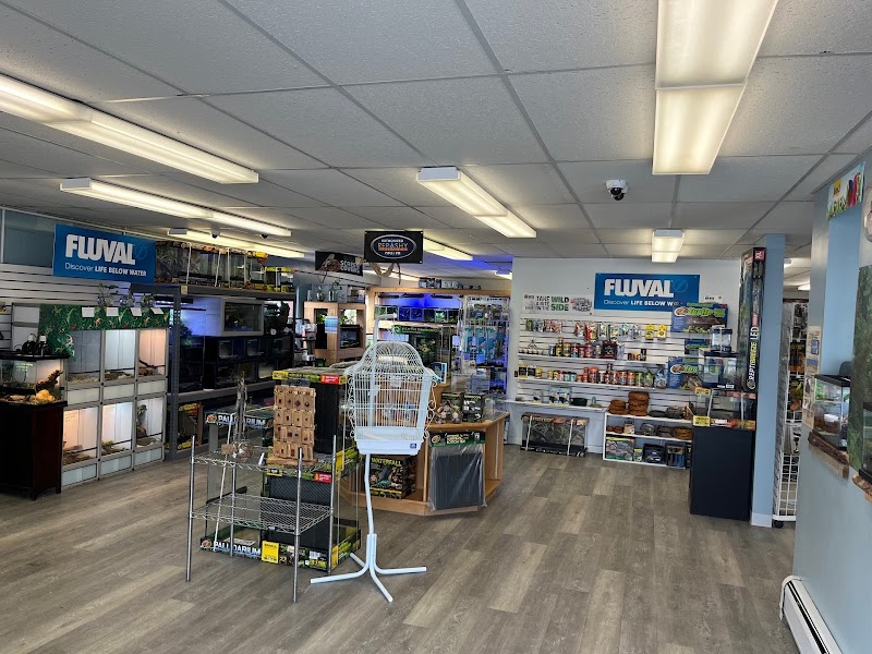 HomeGrown Scales - Photo 3