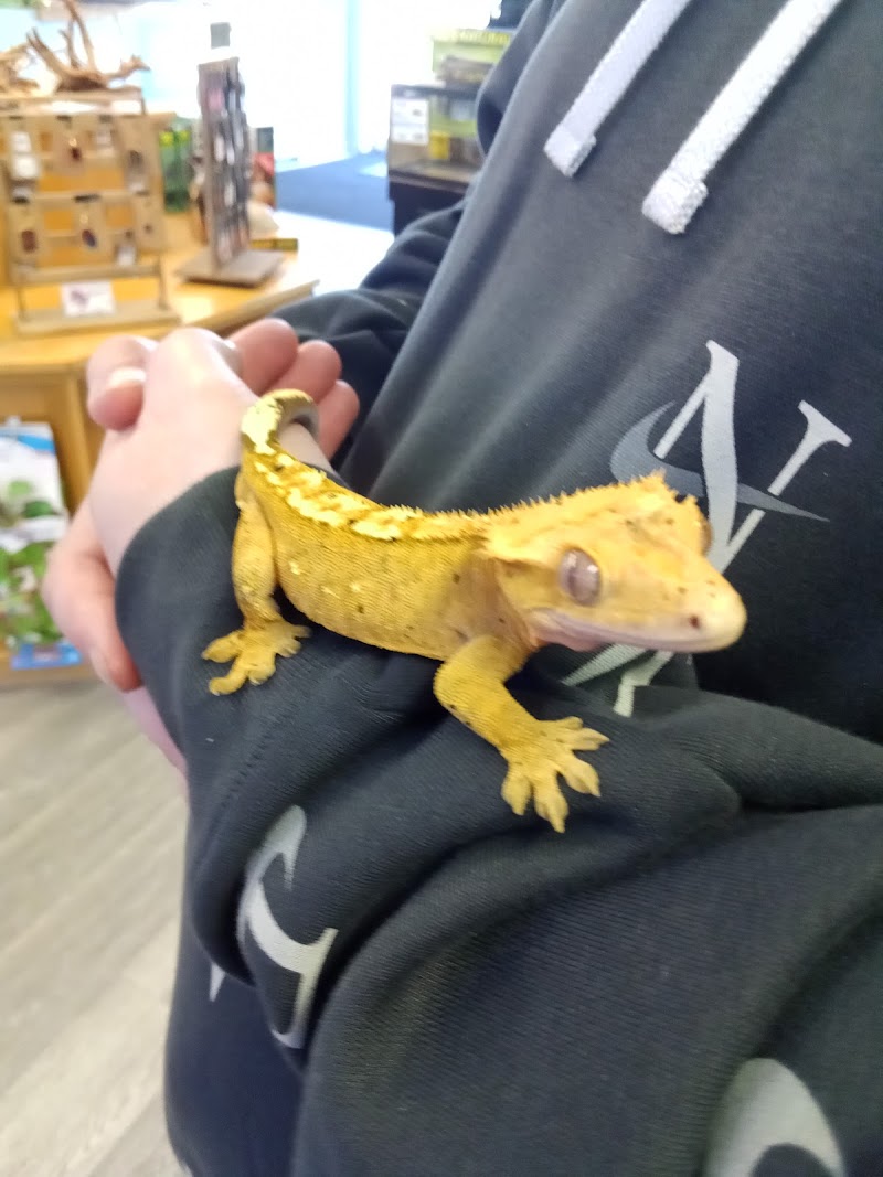 HomeGrown Scales - Photo 4