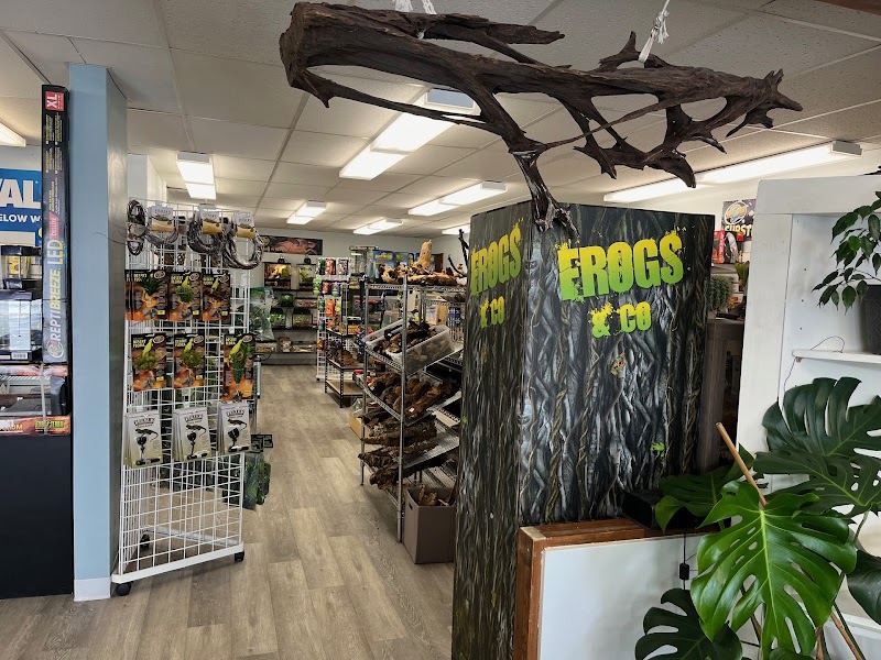 HomeGrown Scales - Photo 5