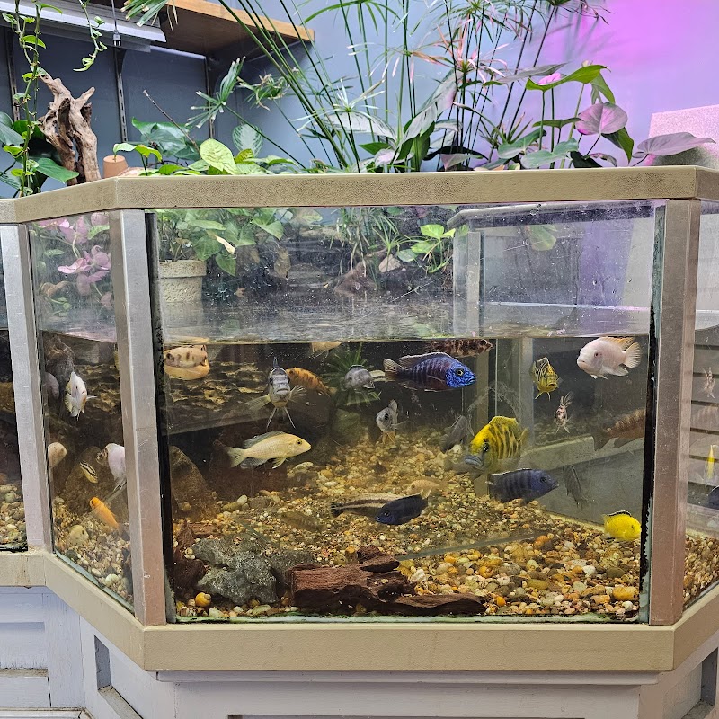 Claremont Pet & Aquarium Center - Photo 3