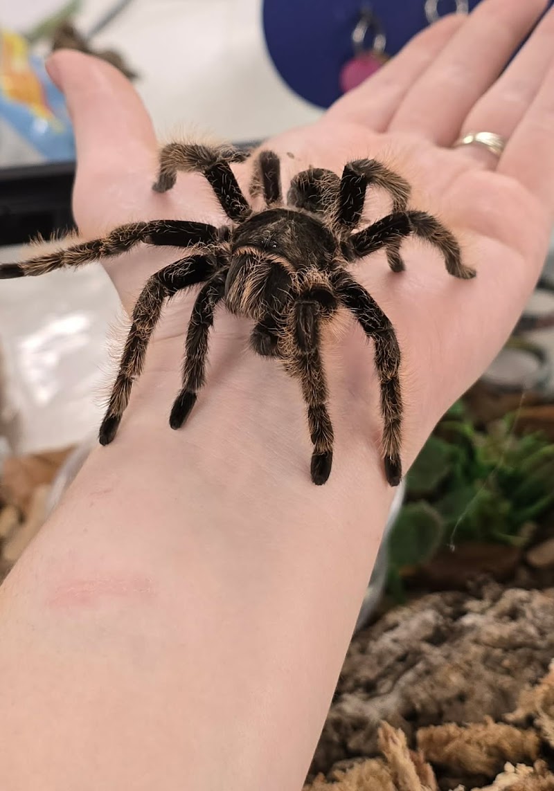 Claremont Pet & Aquarium Center - Photo 5