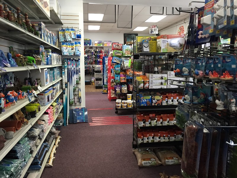 Steve's Pet Shoppe - Photo 2