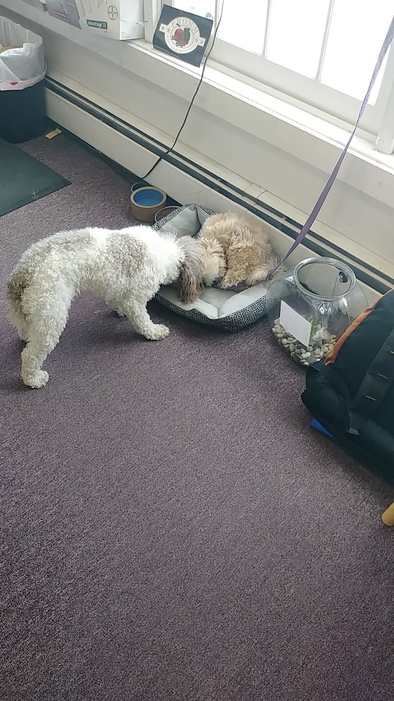 Steve's Pet Shoppe - Photo 3