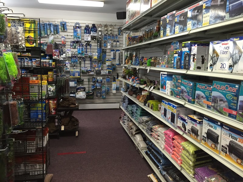 Steve's Pet Shoppe - Photo 4