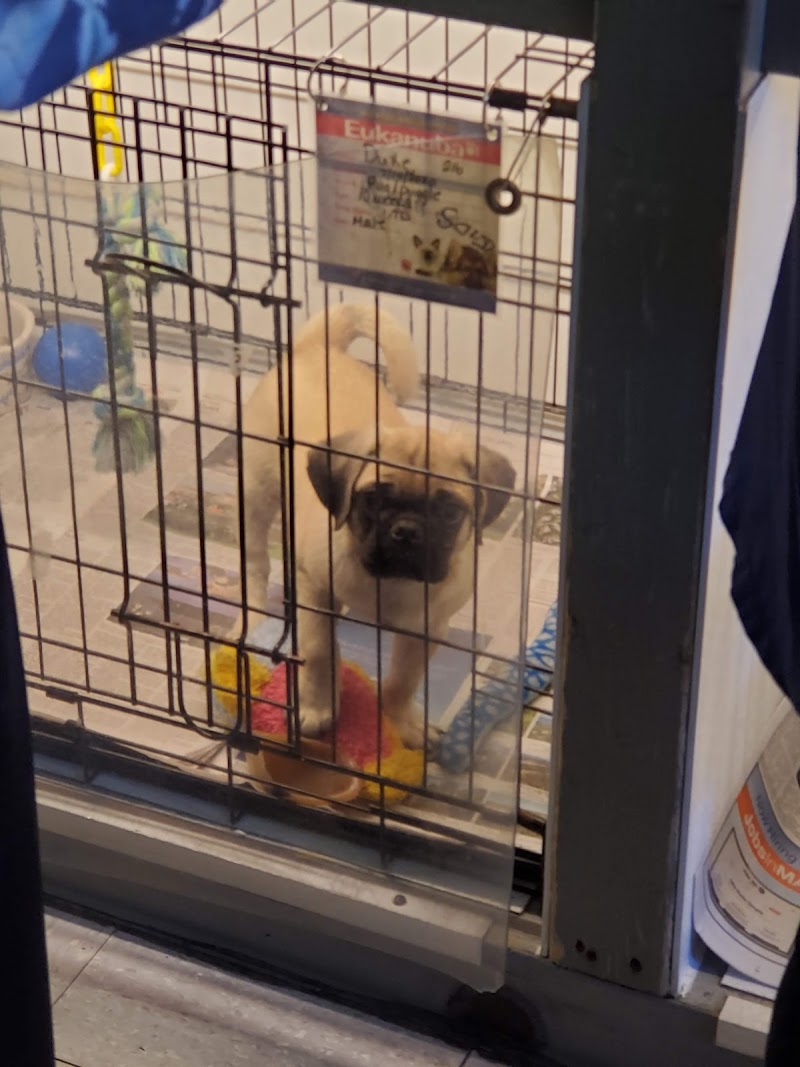 Family Pet & Aquarium-Nashua - Photo 1