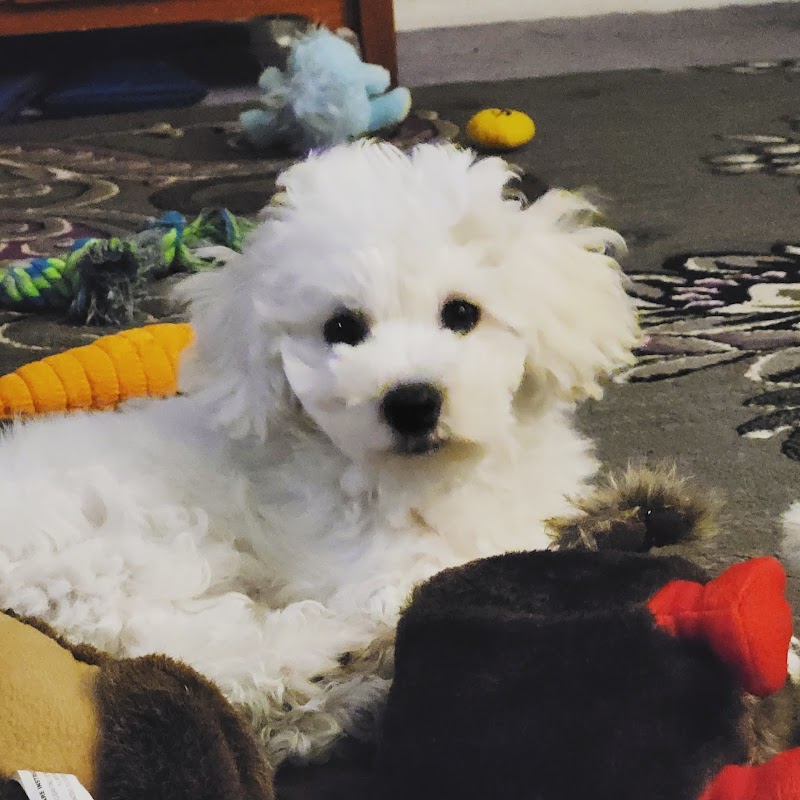 Family Pet & Aquarium-Nashua - Photo 2