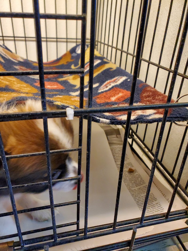 Family Pet & Aquarium-Nashua - Photo 4