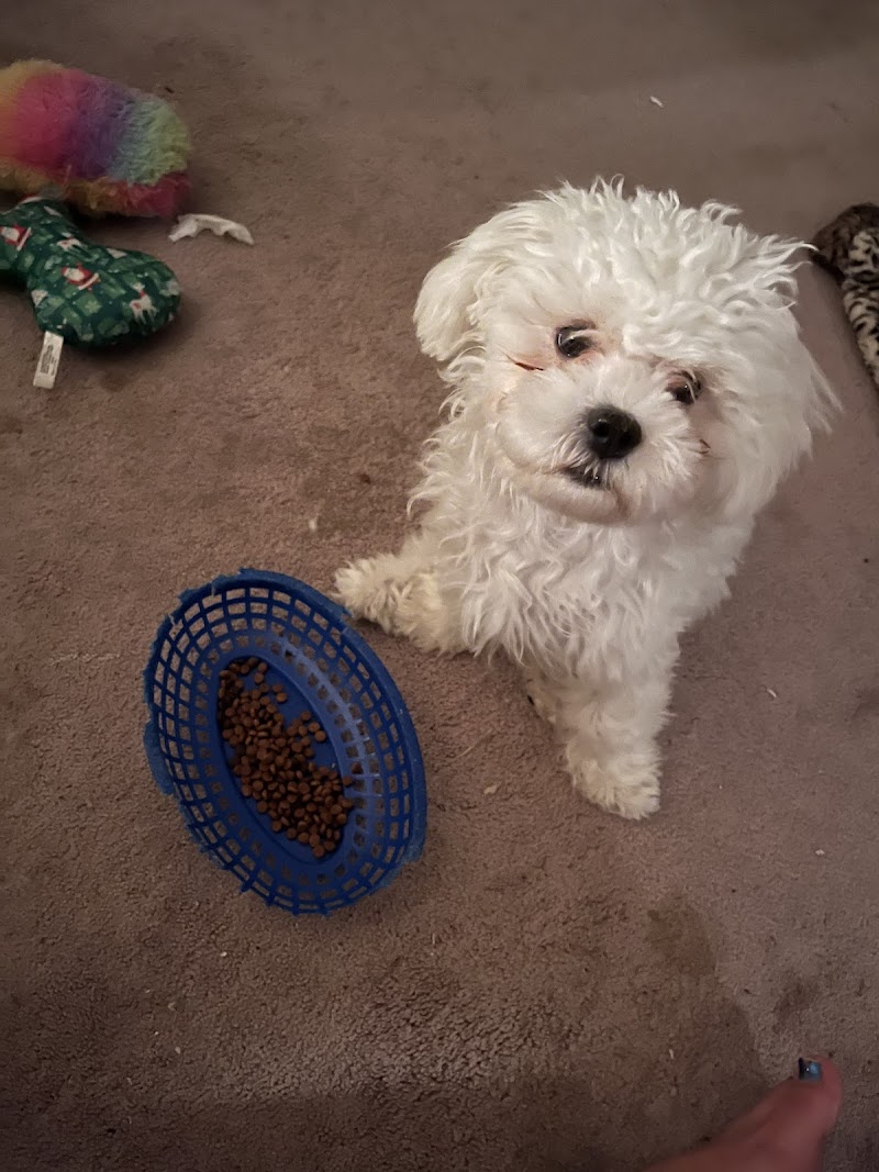 Family Pet & Aquarium-Nashua - Photo 5