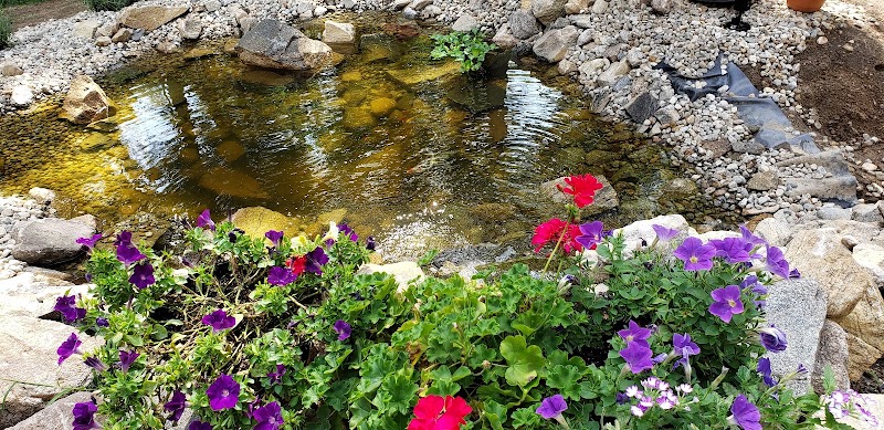 Chester Hollow Water Gardens - Photo 1