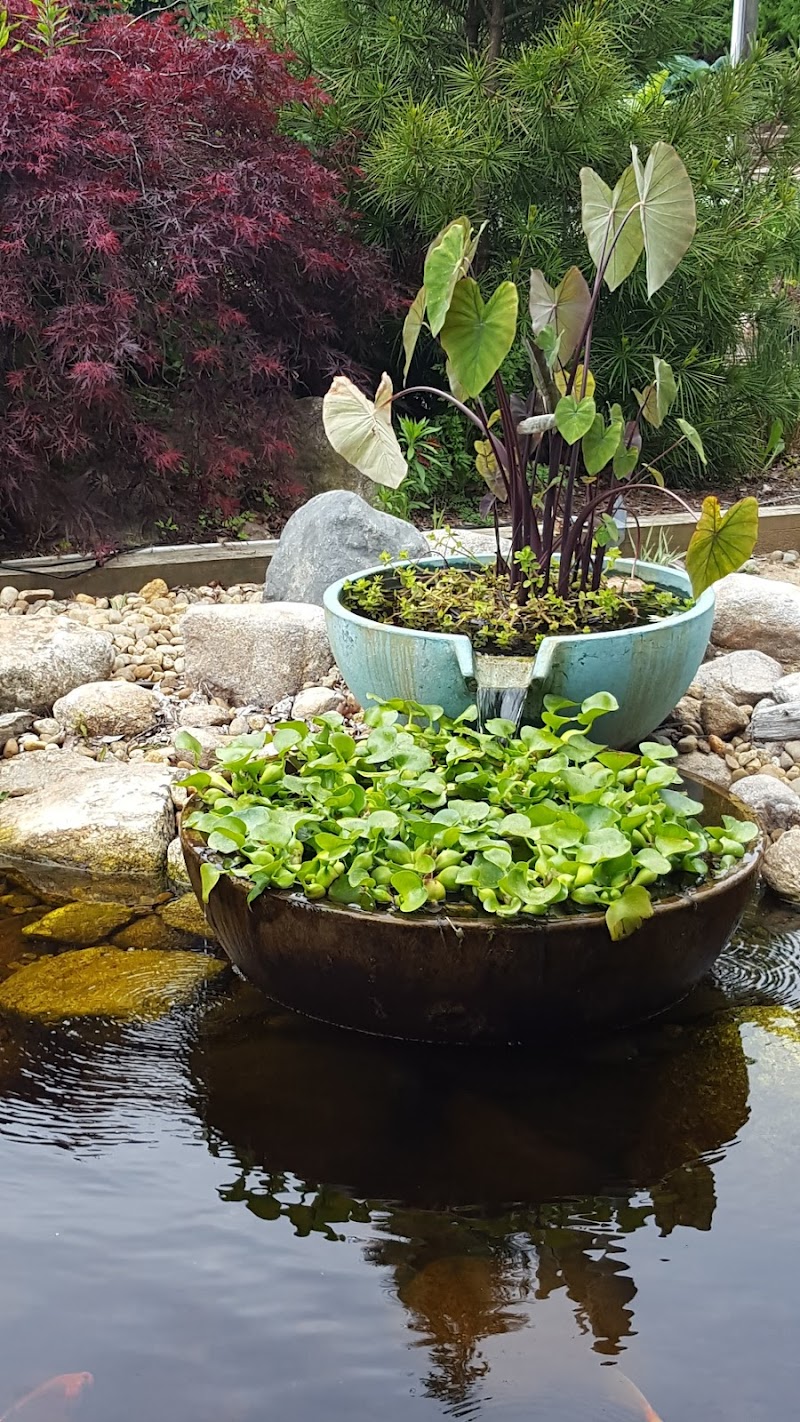 Chester Hollow Water Gardens - Photo 2