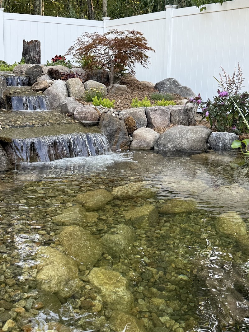 Chester Hollow Water Gardens - Photo 3