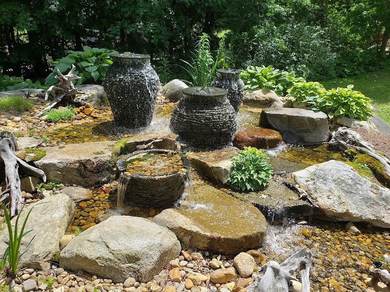 Chester Hollow Water Gardens - Photo 5