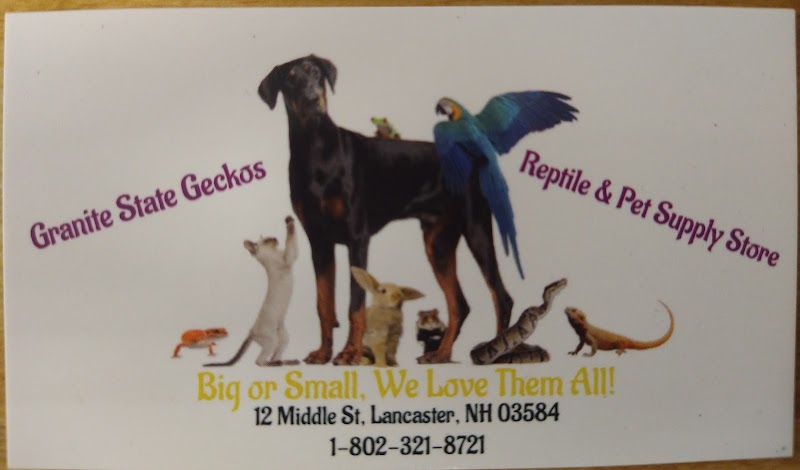 Granite State Geckos Reptile & Pet Supply Store - Photo 4