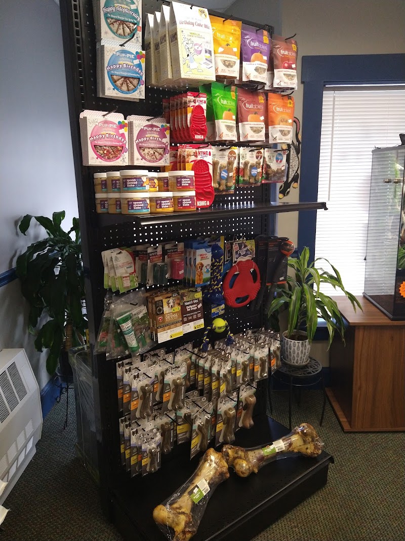 Granite State Geckos Reptile & Pet Supply Store - Photo 5