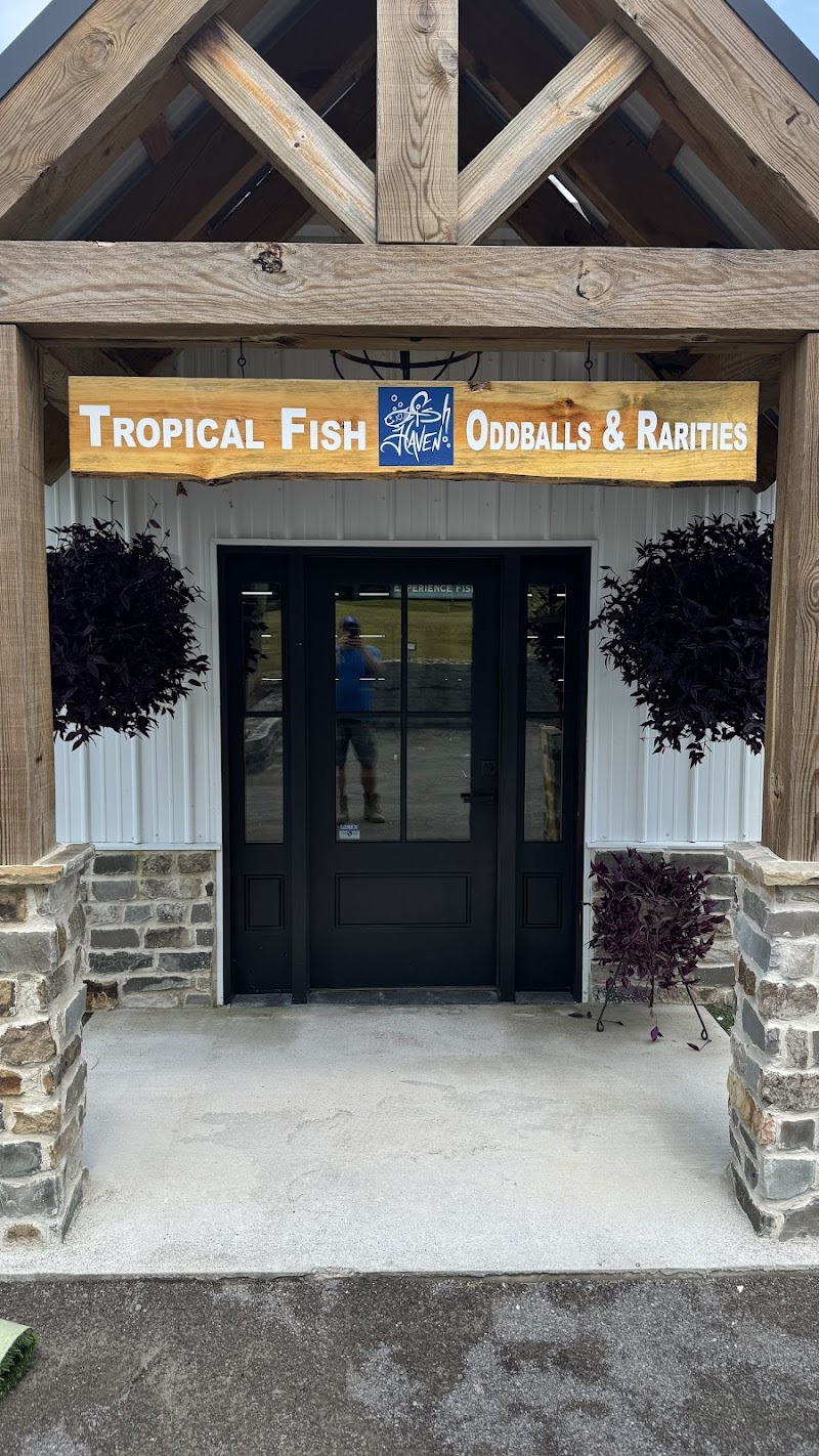 Fish Haven - Photo 1