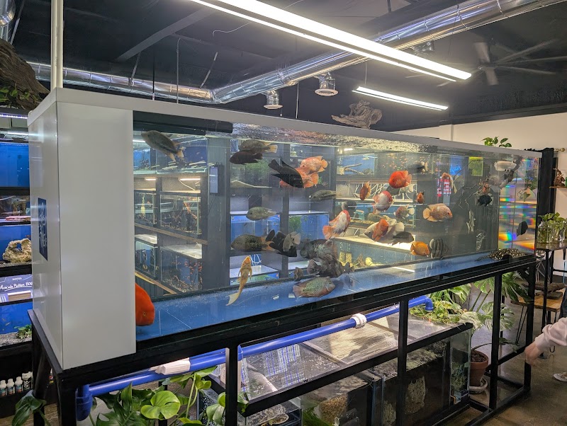 Fish Haven - Photo 2