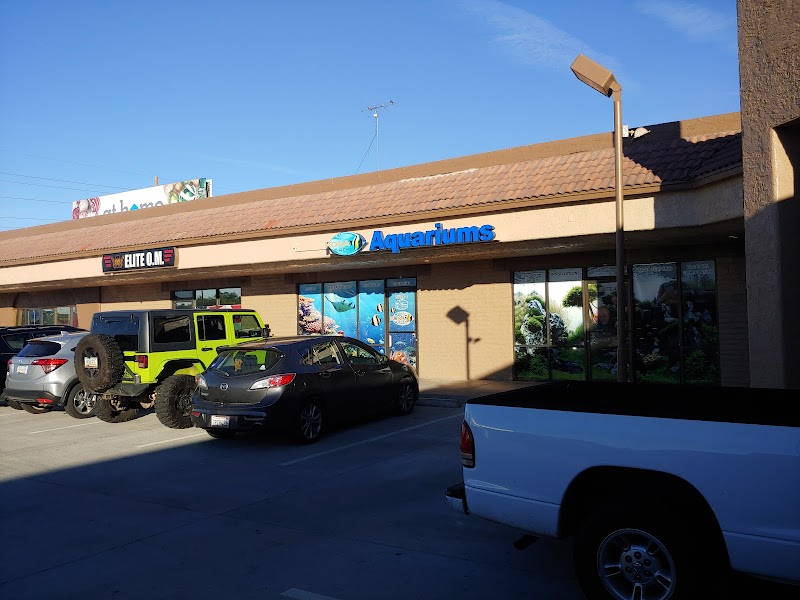 Kona Reef Az - Phoenix - Photo 1