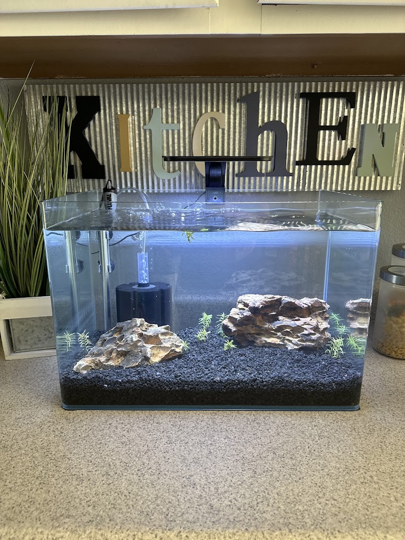 Kona Reef Az - Phoenix - Photo 4