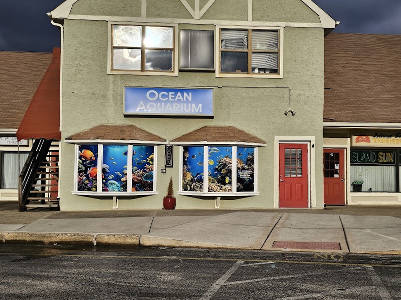 Ocean Aquarium - Photo 1
