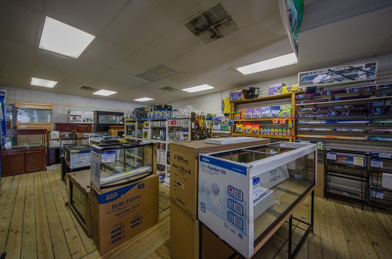 Ocean Aquarium - Photo 2