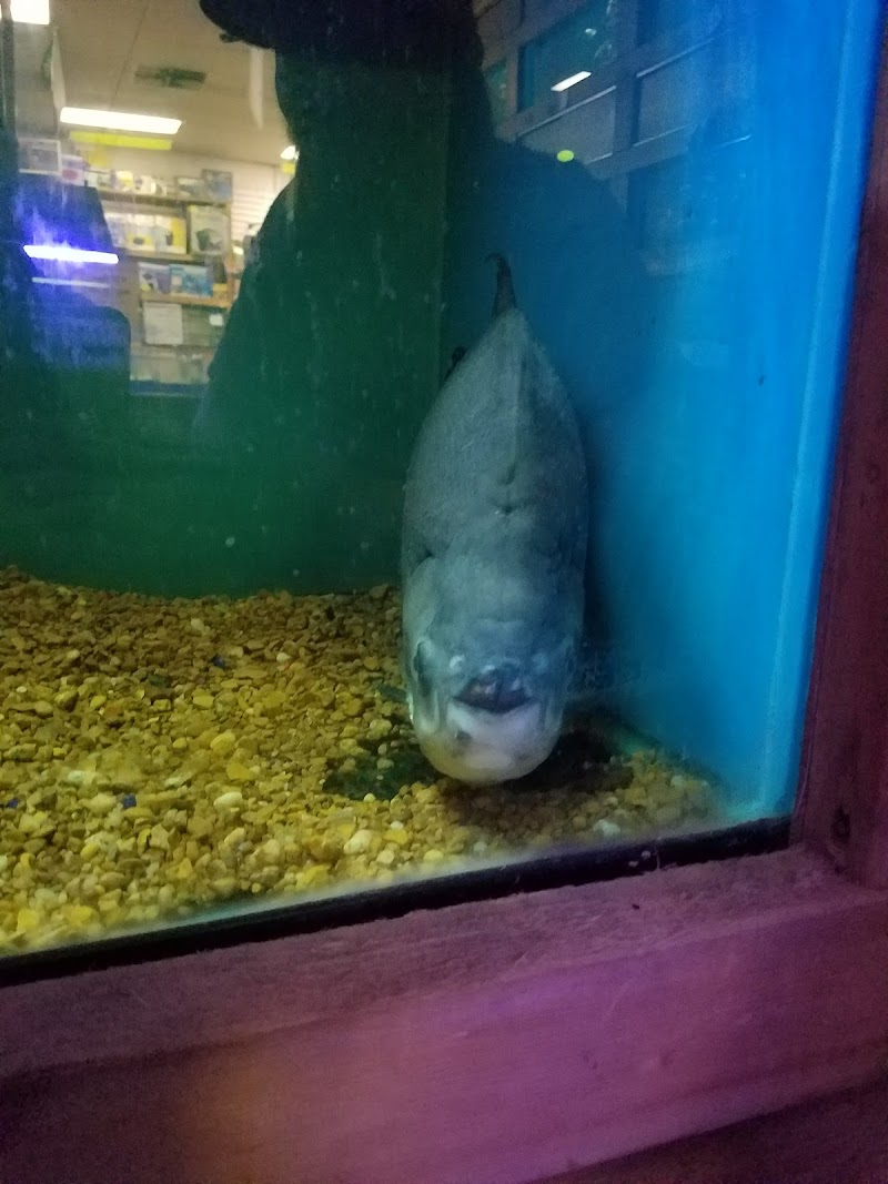 Ocean Aquarium - Photo 4