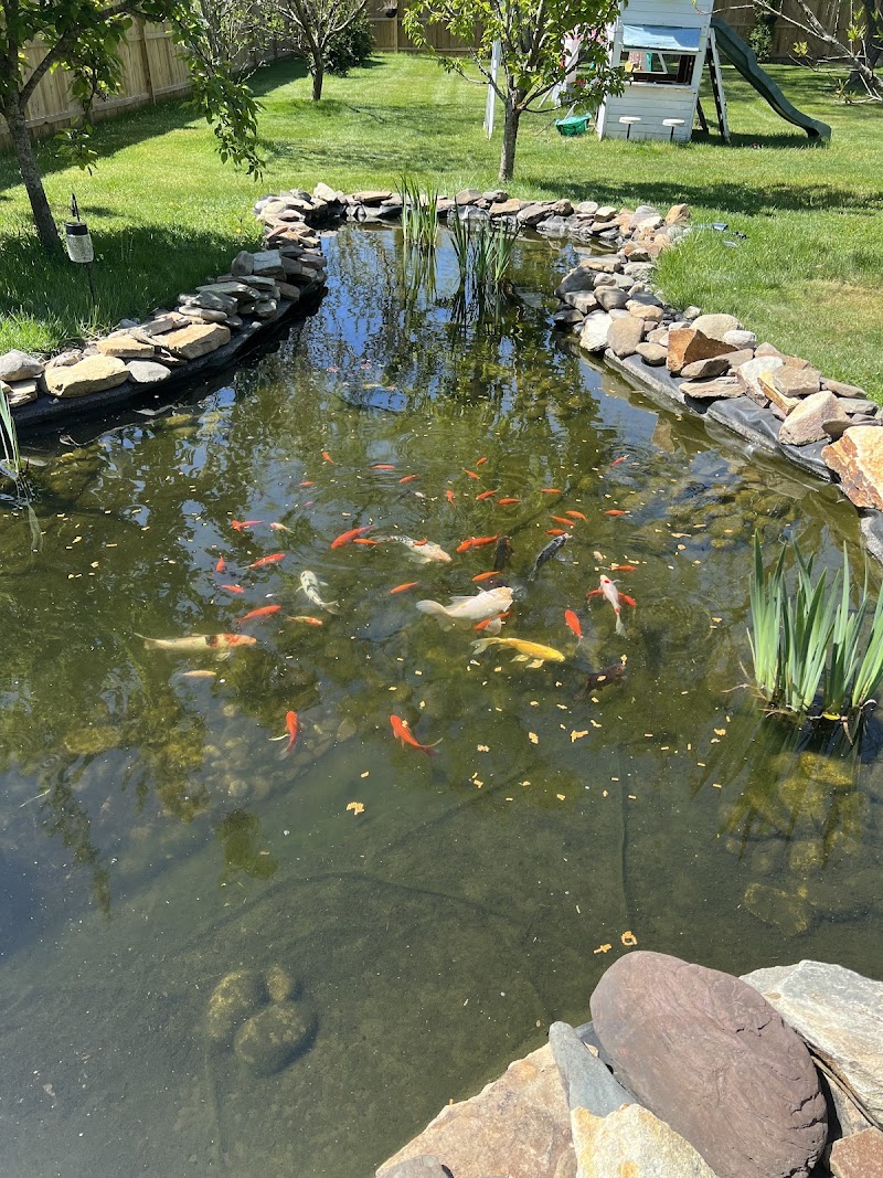 Swimming Flowers Fishery, llc South Jersey's Premier Fishery - Photo 2