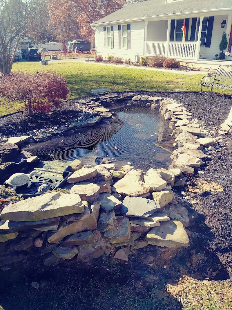 Swimming Flowers Fishery, llc South Jersey's Premier Fishery - Photo 4