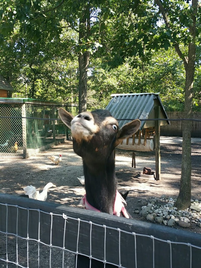 Swimming Flowers Fishery, llc South Jersey's Premier Fishery - Photo 5