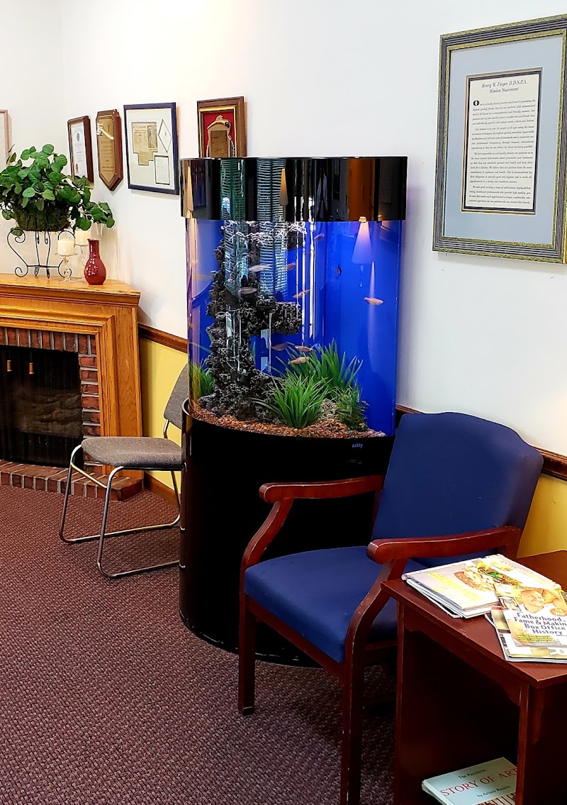 Majestic Aquatics - Photo 3