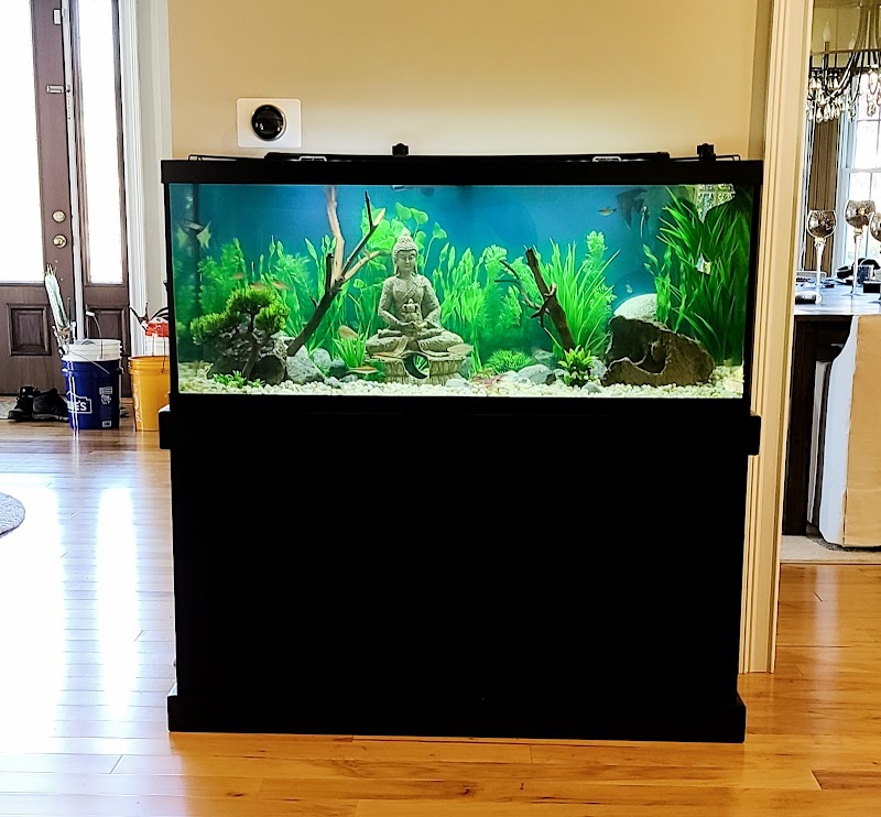 Majestic Aquatics - Photo 5