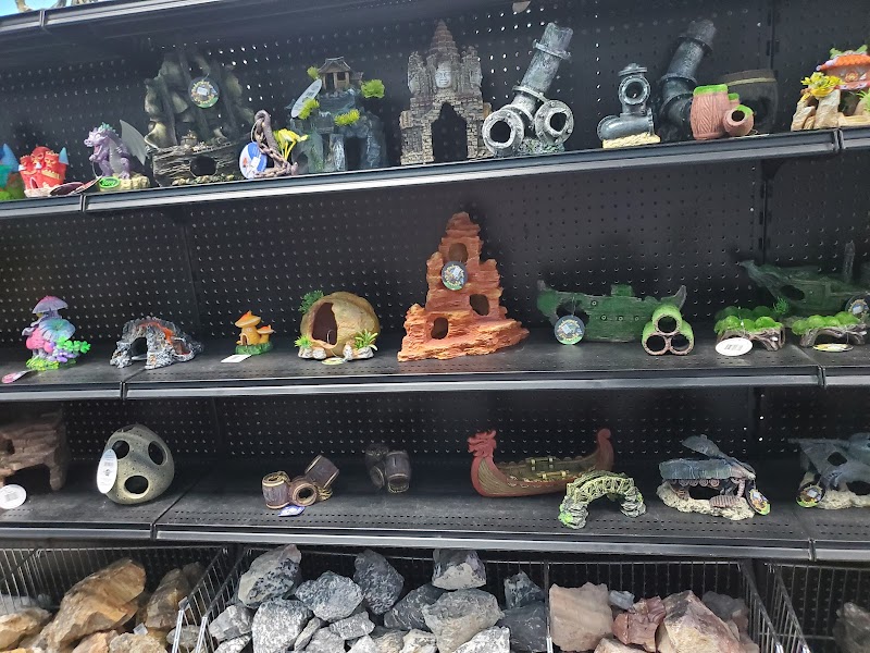 Aquarium Center - Photo 3