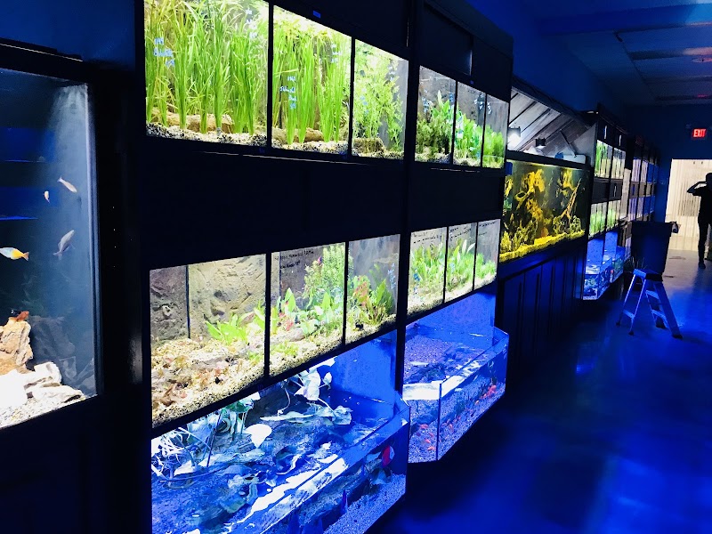 Aquarium Center - Photo 4