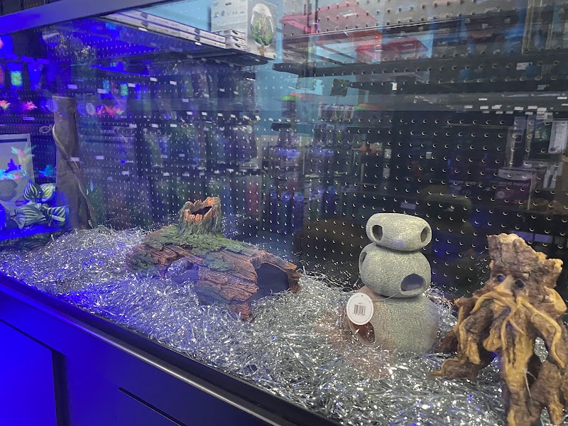 Aquarium Center - Photo 5