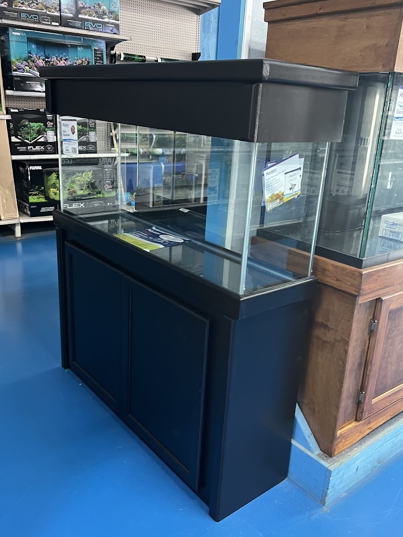 The Hidden Reef, Inc - Photo 4