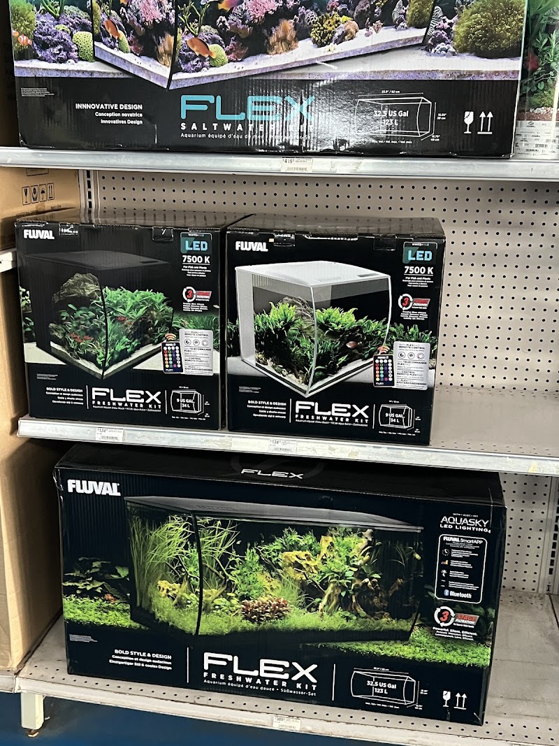 The Hidden Reef, Inc - Photo 5